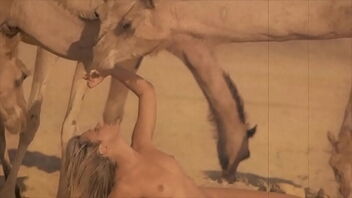 Natural funbags and a wooly poon in a retro porn video called Beauty And The Beast.